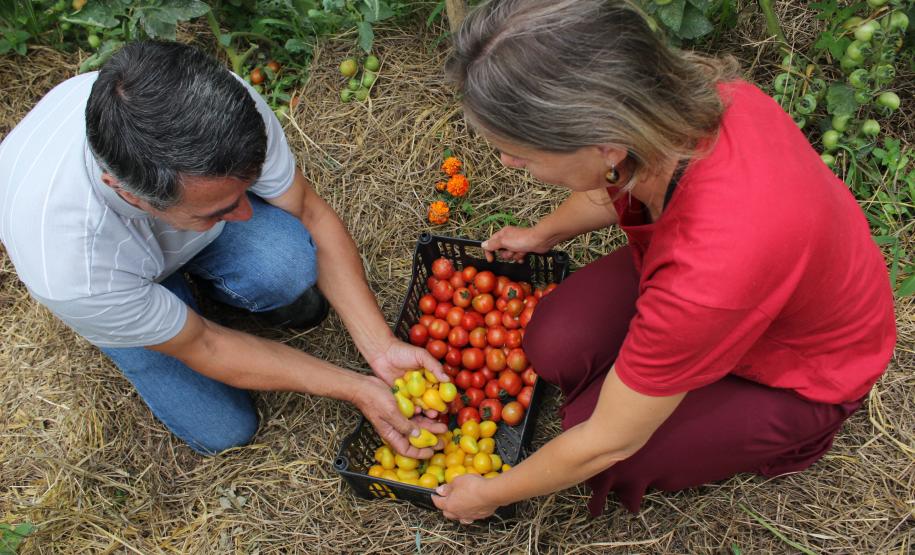 Parceria entre Tecpar e AMP leva informações sobre produção orgânica a municípios do Paraná