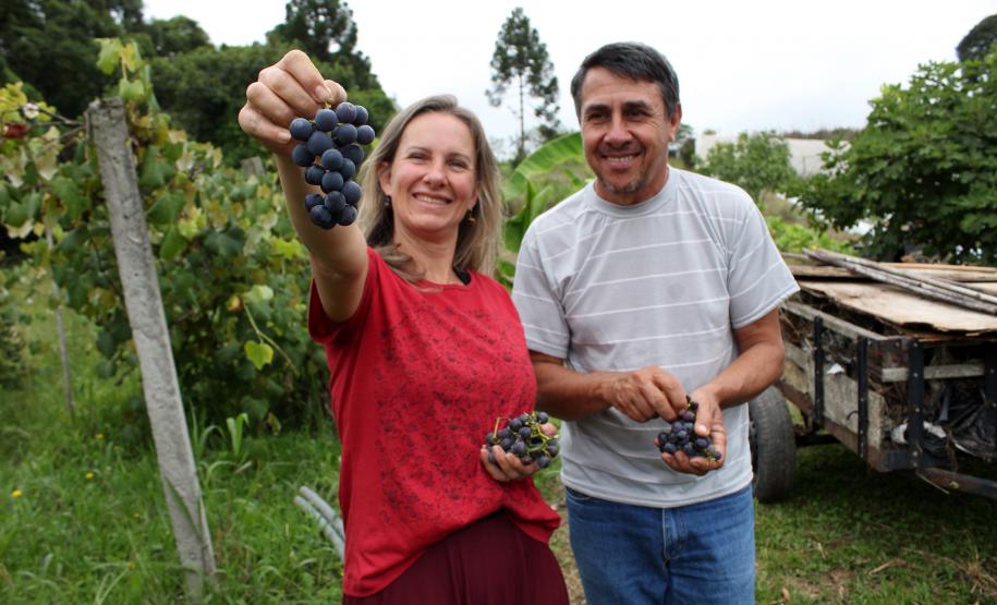 Parceria entre Tecpar e AMP leva informações sobre produção orgânica a municípios do Paraná