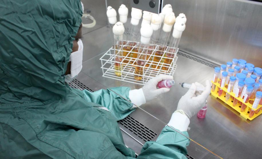 Tecpar irá retomar produção de insumos para saúde animal