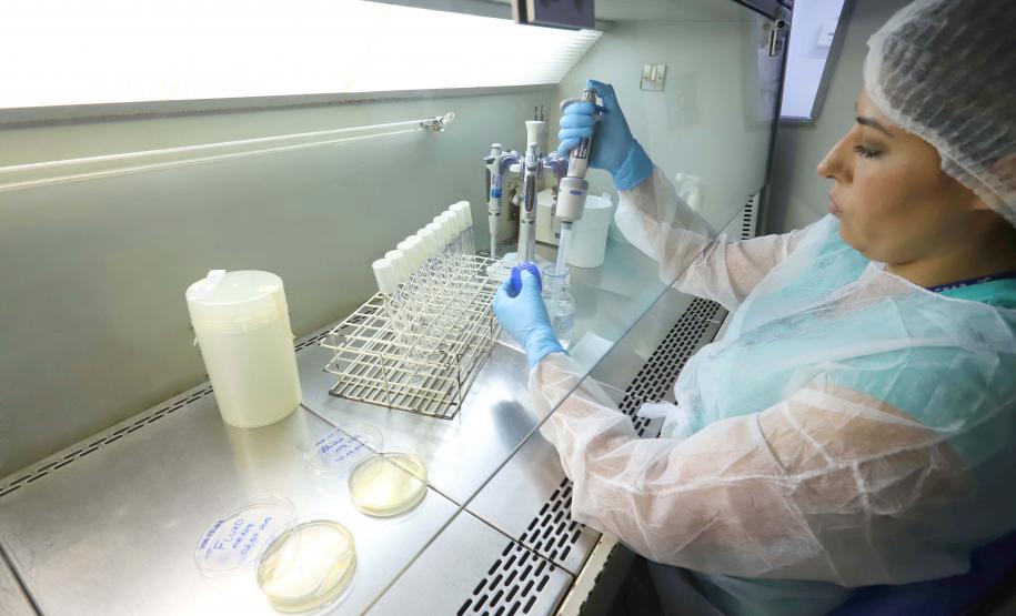 Tecpar irá retomar produção de insumos para saúde animal