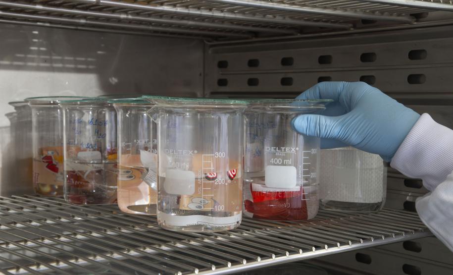 Tecpar é referência nacional em análise de embalagens