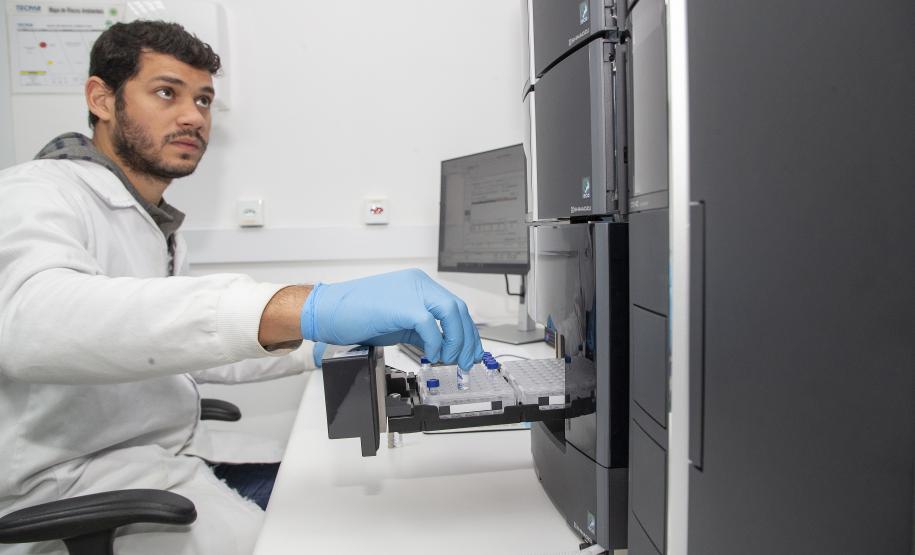 Técnicos do Tecpar analisam as amostras coletadas de abelhas mortas e favos