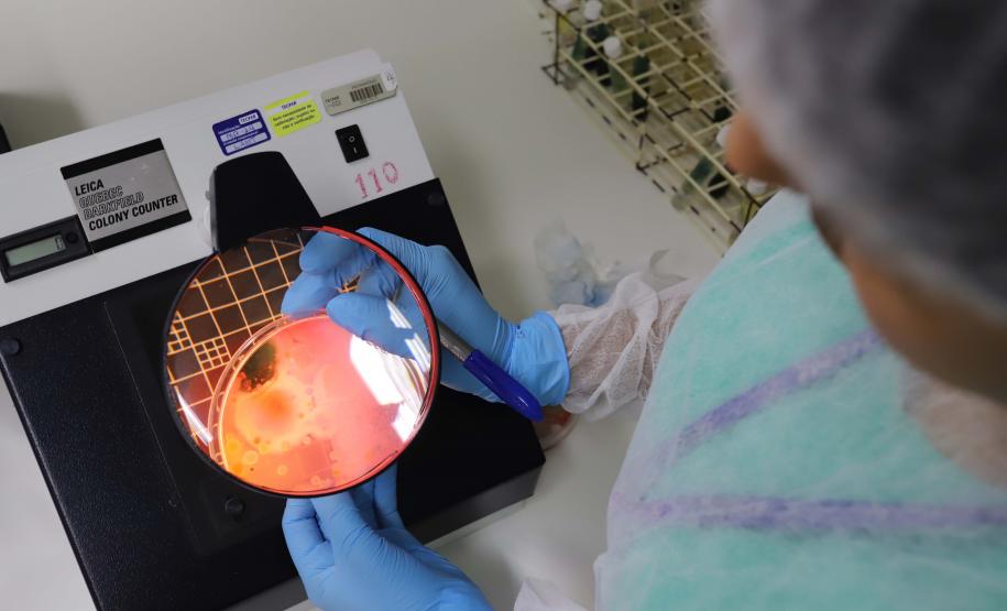 Tecpar completa 83 anos a serviço da sociedade e projeta futuro com inovações e novos produtos