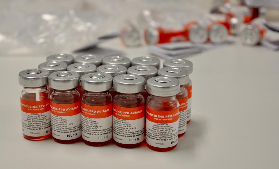 Tecpar completa 83 anos a serviço da sociedade e projeta futuro com inovações e novos produtos