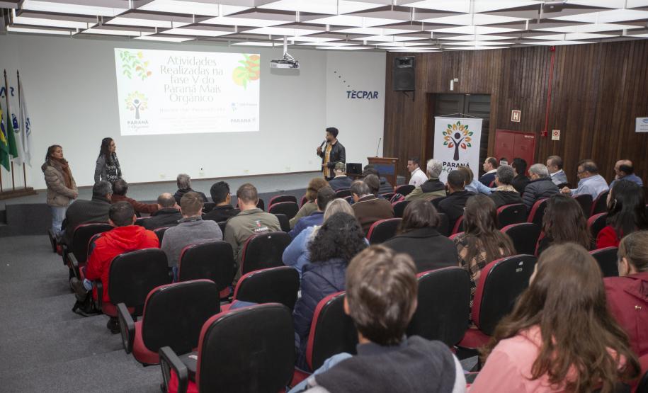 Troca de experiências entre os Núcleos do PMO