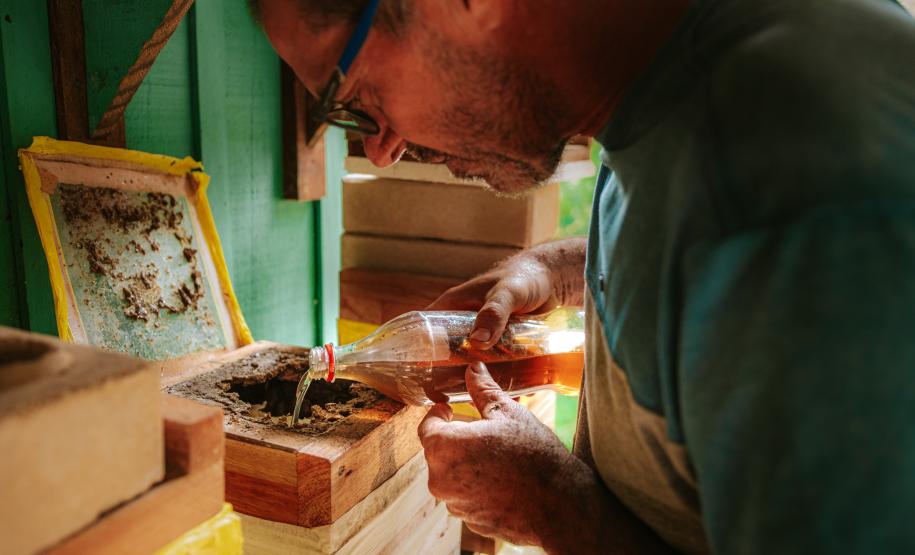 Projeto que estimula produção de mel em Morretes completa um ano