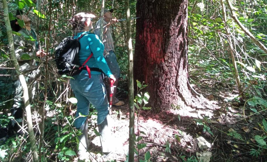 Tecpar lança programa que certifica projetos e empresas para redução de carbono