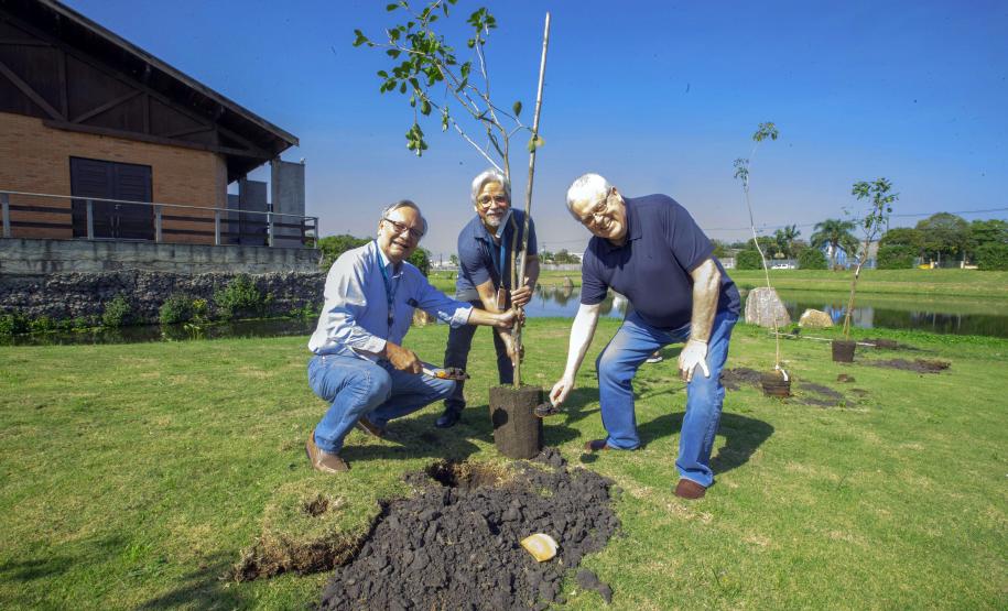 Empresas do Parque Tecnológico da Saúde plantam árvores em alusão ao Dia da Árvore