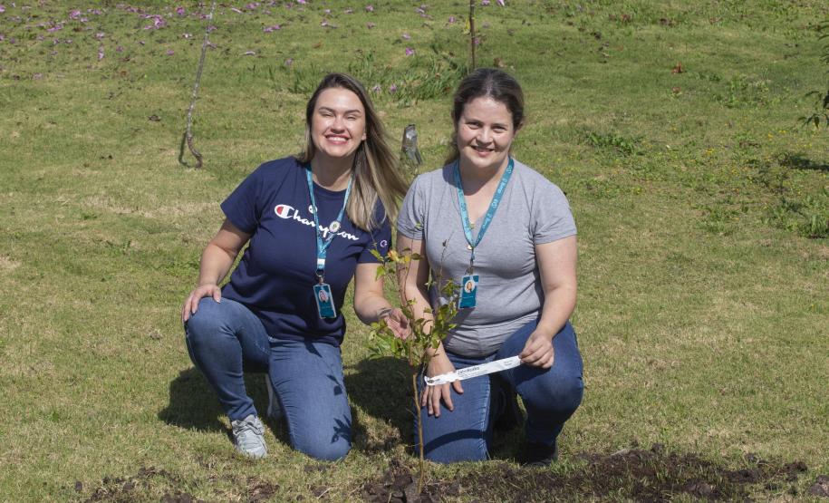 Empresas do Parque Tecnológico da Saúde plantam árvores em alusão ao Dia da Árvore