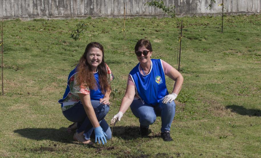 Empresas do Parque Tecnológico da Saúde plantam árvores em alusão ao Dia da Árvore