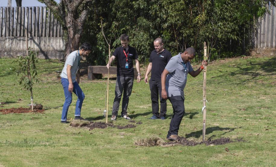 Empresas do Parque Tecnológico da Saúde plantam árvores em alusão ao Dia da Árvore