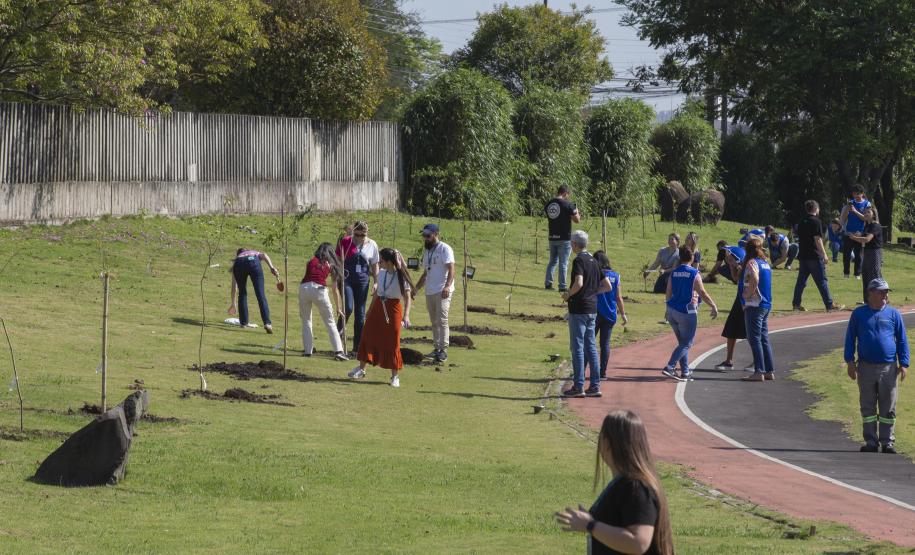Empresas do Parque Tecnológico da Saúde plantam árvores em alusão ao Dia da Árvore