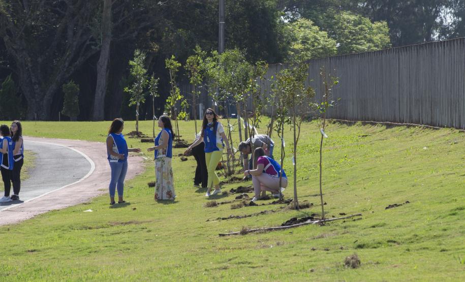 Empresas do Parque Tecnológico da Saúde plantam árvores em alusão ao Dia da Árvore