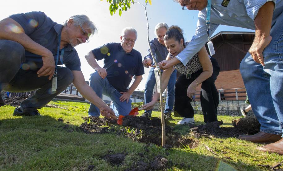 Empresas do Parque Tecnológico da Saúde plantam árvores em alusão ao Dia da Árvore