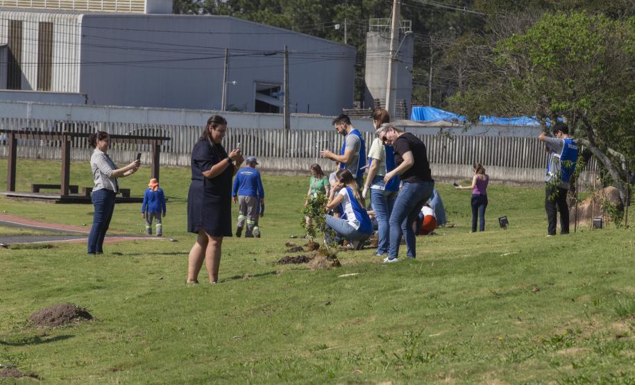 Empresas do Parque Tecnológico da Saúde plantam árvores em alusão ao Dia da Árvore