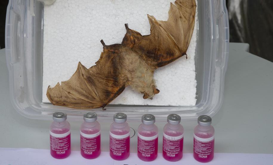 Evento “Juntos pela Saúde”