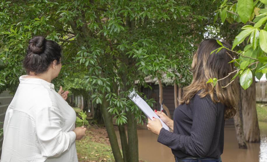 Tecpar já valida inventários de carbono em duas regiões do País