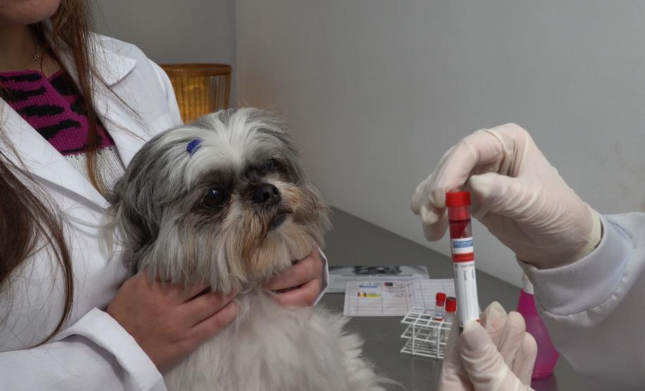 Tecpar lança serviço de acreditação inédito para mercado veterinário