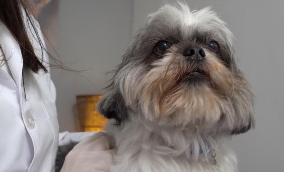 Tecpar lança serviço de acreditação inédito para mercado veterinário