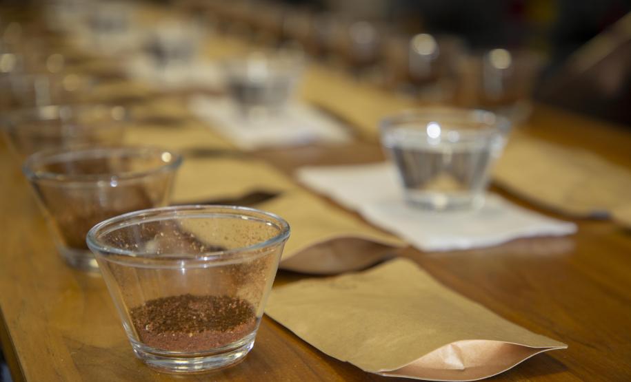 Com apoio do Tecpar, empreendedores vão produzir água para cafés especiais