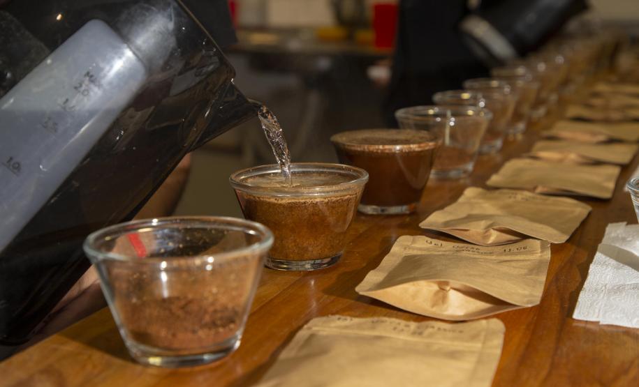 Com apoio do Tecpar, empreendedores vão produzir água para cafés especiais