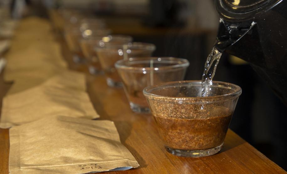 Com apoio do Tecpar, empreendedores vão produzir água para cafés especiais