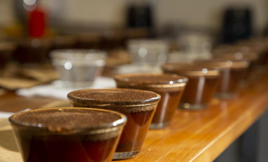 Com apoio do Tecpar, empreendedores vão produzir água para cafés especiais