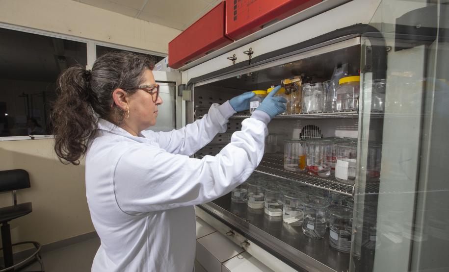 Análise de embalagens de alimentos do Tecpar assegura a saúde do consumidor