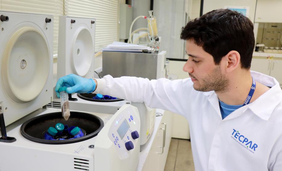 Tecpar identifica níveis de agrotóxicos em alimentos