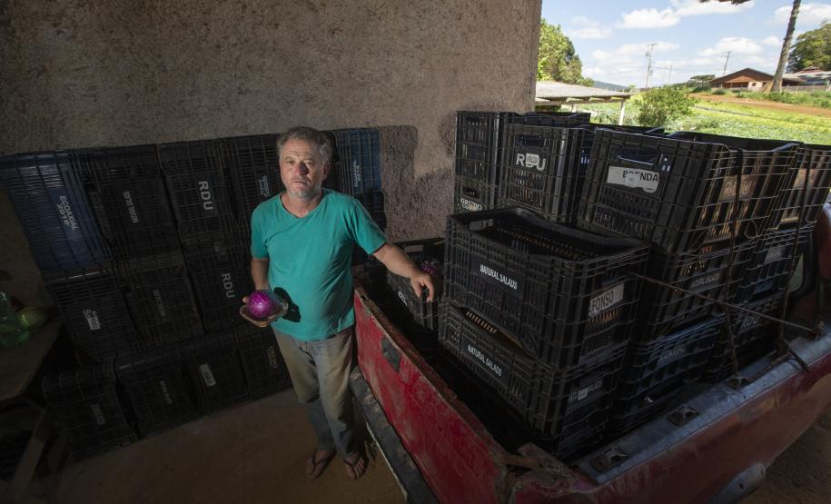 Tecpar certifica 271 produtores orgânicos de São José dos Pinhais