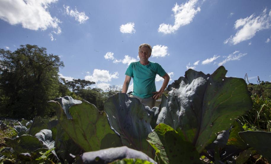 Tecpar certifica 271 produtores orgânicos de São José dos Pinhais