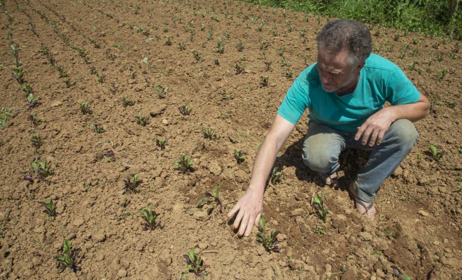 Tecpar certifica 271 produtores orgânicos de São José dos Pinhais