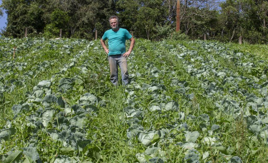 Tecpar certifica 271 produtores orgânicos de São José dos Pinhais