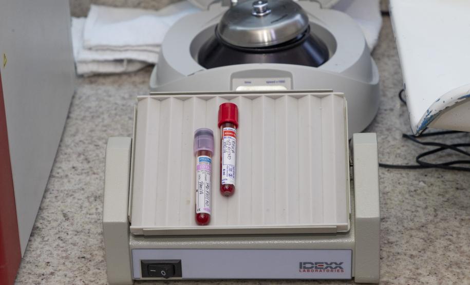 Tecpar conclui projeto-piloto de acreditação de estabelecimentos veterinários