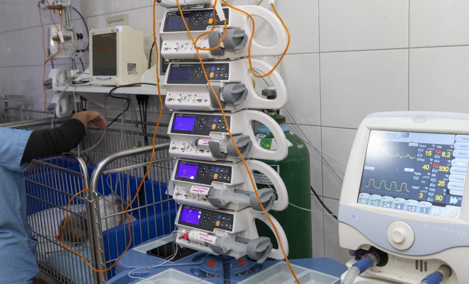 Tecpar conclui projeto-piloto de acreditação de estabelecimentos veterinários