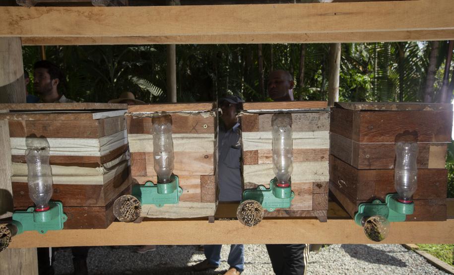 Meliponário em Morretes, no Litoral do Paraná.