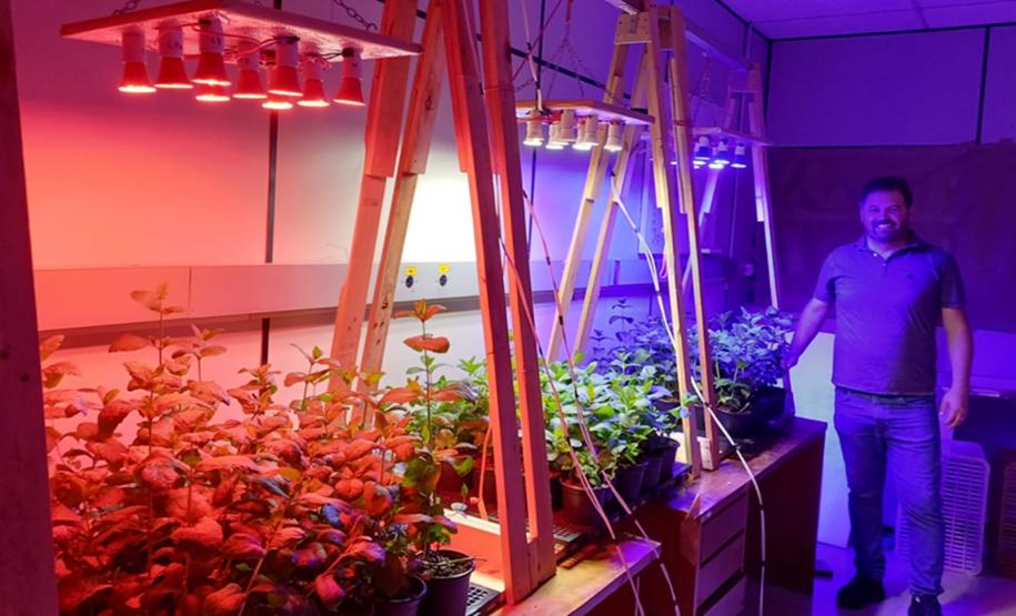 Pesquisa propõe soluções sustentáveis para a agricultura e conservação de alimentos