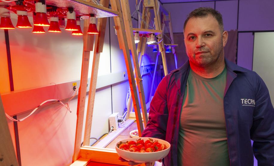 Pesquisa propõe soluções sustentáveis para a agricultura e conservação de alimentos