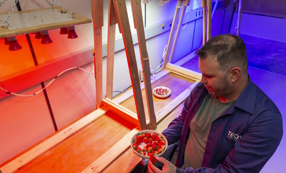 Pesquisa propõe soluções sustentáveis para a agricultura e conservação de alimentos