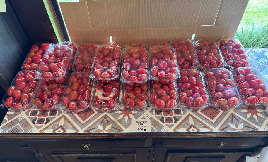 O Instituto de Tecnologia do Paraná (Tecpar) concluiu um projeto de pesquisa para implementar uma nova tecnologia agrícola de controle biológico no Brasil.