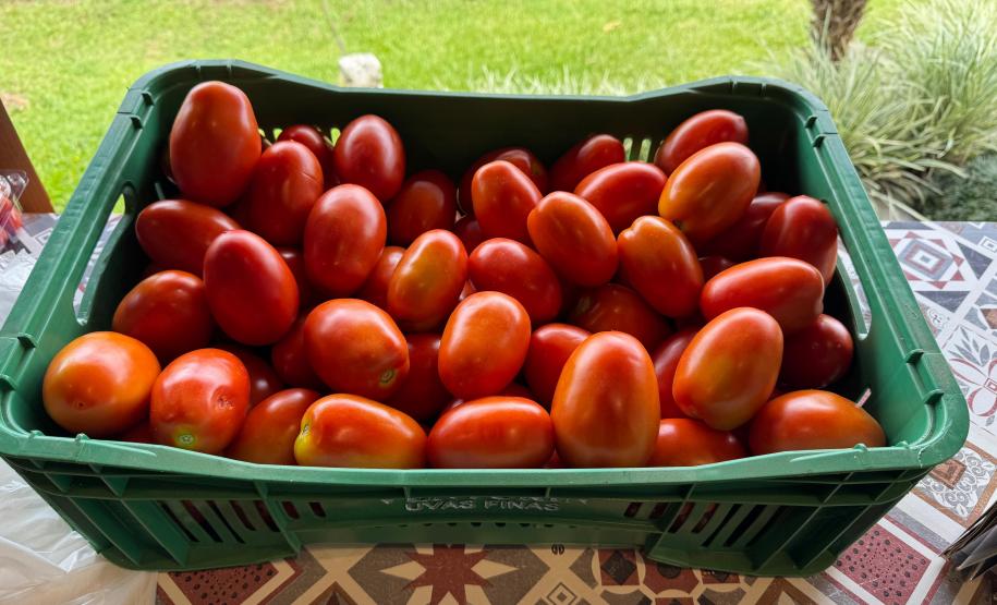 O Instituto de Tecnologia do Paraná (Tecpar) concluiu um projeto de pesquisa para implementar uma nova tecnologia agrícola de controle biológico no Brasil.