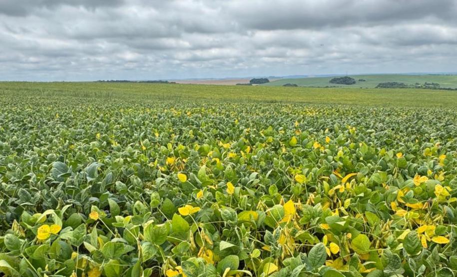 Tecpar amplia atuação na validação de inventários e projetos de carbono