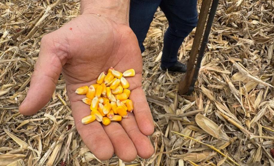 Tecpar amplia atuação na validação de inventários e projetos de carbono