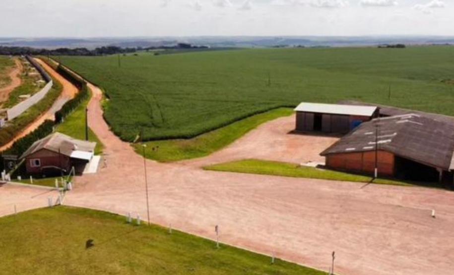 Tecpar amplia atuação na validação de inventários e projetos de carbono