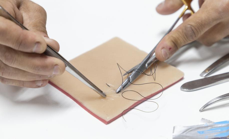 Incubada pelo Tecpar, startup produz pele artificial para simular cirurgias veterinárias