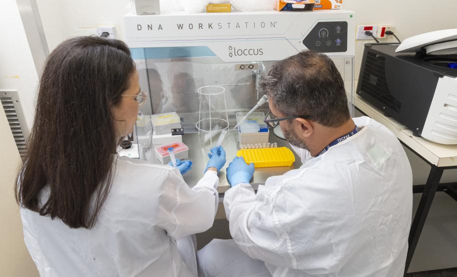 Parceria entre Tecpar e UFPR fortalece PD&I de vacina antirrábica veterinária