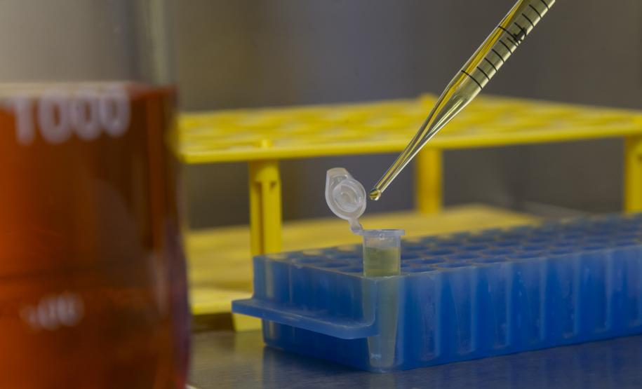 Com investimentos do Estado, Tecpar amplia atuação na indústria nacional da saúde