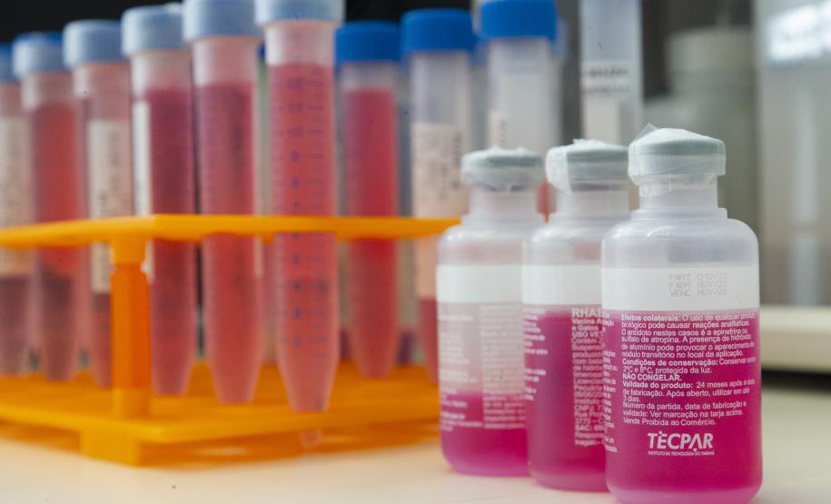 Parceria entre Tecpar e UFPR fortalece PD&I de vacina antirrábica veterinária