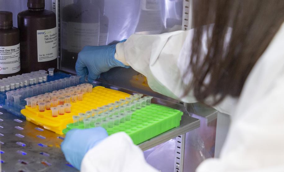 Parceria entre Tecpar e UFPR fortalece PD&I de vacina antirrábica veterinária