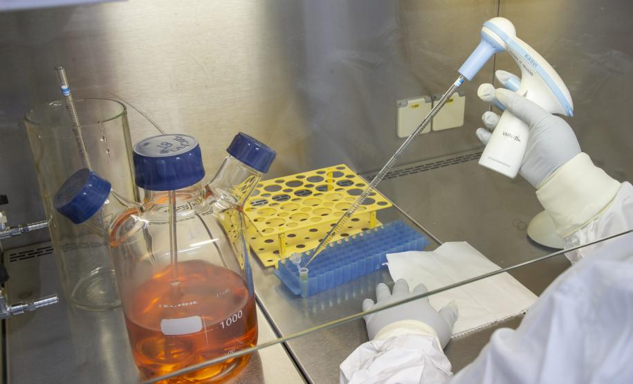 O caminho da vacina do Tecpar até chegar aos braços dos brasileiros